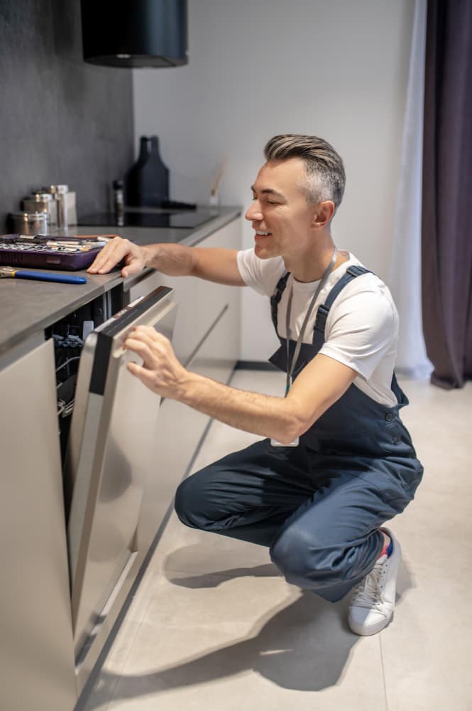 Dishwasher Repairing
